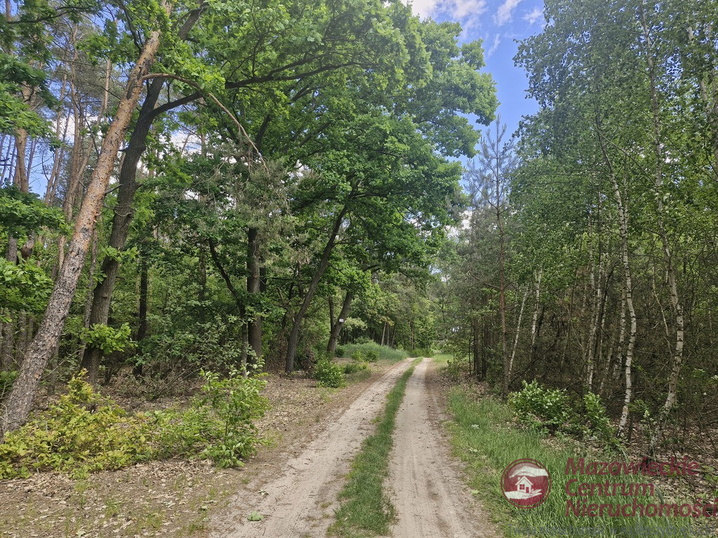 Działka Sprzedaż Wilamy 5