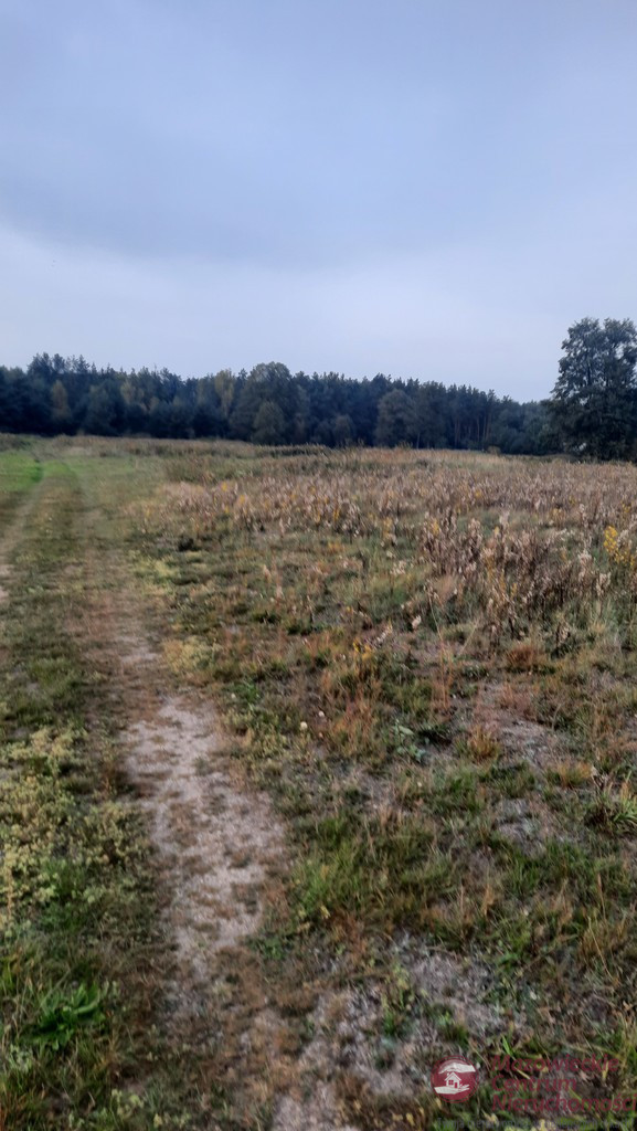 Działka Sprzedaż Nowy Wilków