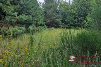 Działka Sprzedaż Nowe Grochale